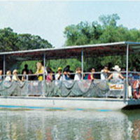 Swamp Bayou Tour
